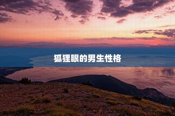 狐狸眼的男生性格