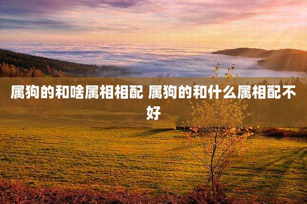 属狗的和啥属相相配 属狗的和什么属相配不好