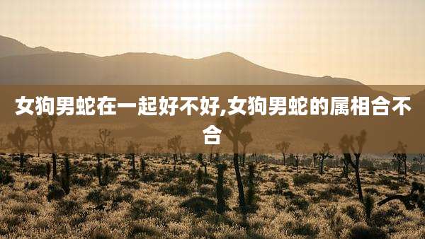 女狗男蛇在一起好不好,女狗男蛇的属相合不合