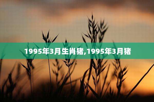 1995年3月生肖猪,1995年3月猪