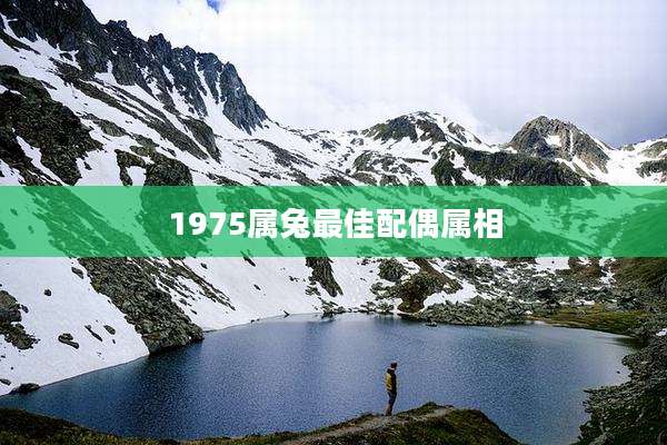 1975属兔最佳配偶属相