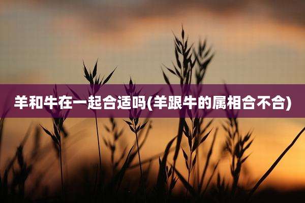 羊和牛在一起合适吗(羊跟牛的属相合不合)