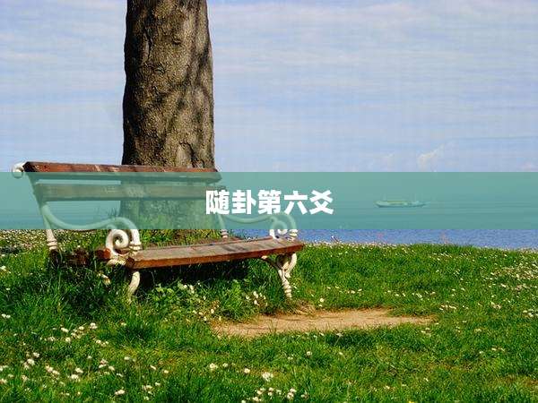 随卦第六爻
