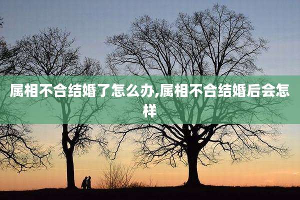 属相不合结婚了怎么办,属相不合结婚后会怎样