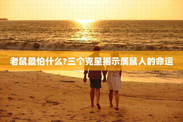 老鼠最怕什么?三个克星揭示属鼠人的命运