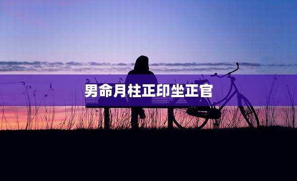 男命月柱正印坐正官