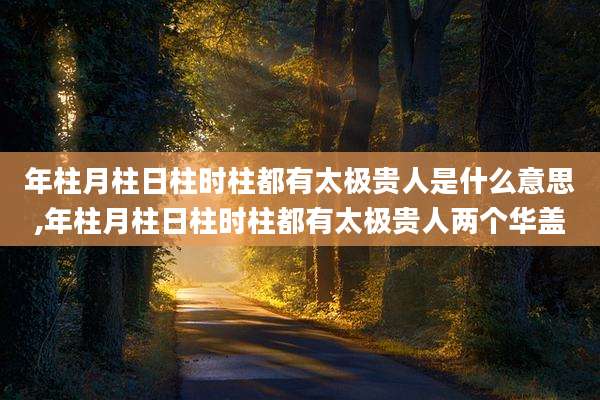 年柱月柱日柱时柱都有太极贵人是什么意思,年柱月柱日柱时柱都有太极贵人两个华盖