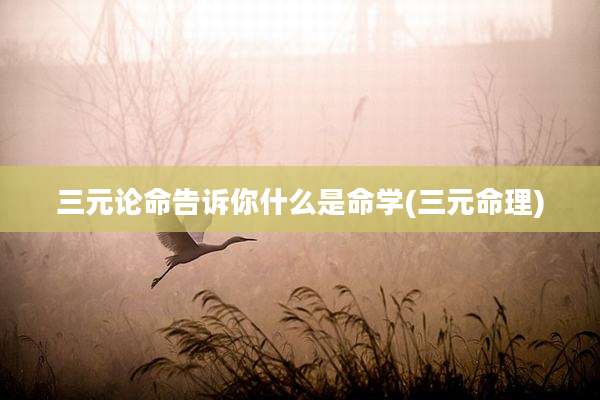 三元论命告诉你什么是命学(三元命理)