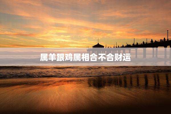 属羊跟鸡属相合不合财运