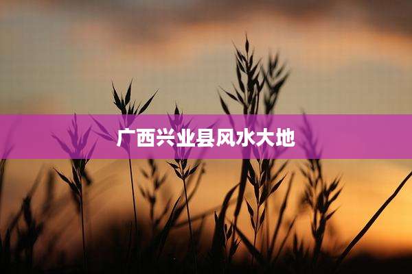 广西兴业县风水大地