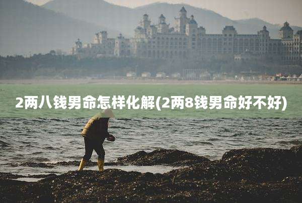 2两八钱男命怎样化解(2两8钱男命好不好)