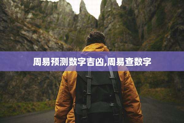 周易预测数字吉凶,周易查数字