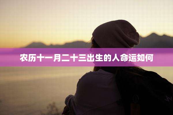 农历十一月二十三出生的人命运如何