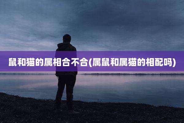 鼠和猫的属相合不合(属鼠和属猫的相配吗)
