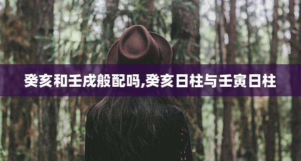 癸亥和壬戌般配吗,癸亥日柱与壬寅日柱