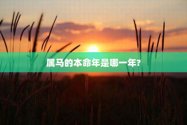 属马的本命年是哪一年?