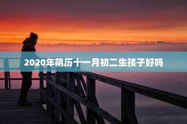 2020年阴历十一月初二生孩子好吗