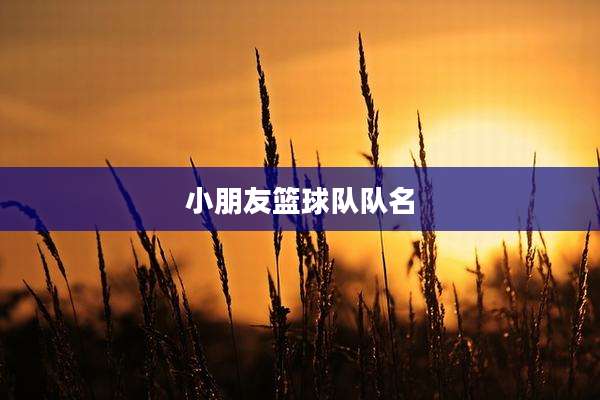 小朋友篮球队队名