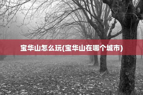 宝华山怎么玩(宝华山在哪个城市)