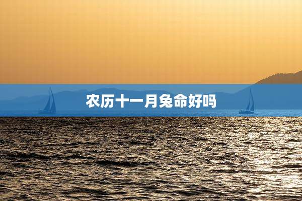 农历十一月兔命好吗