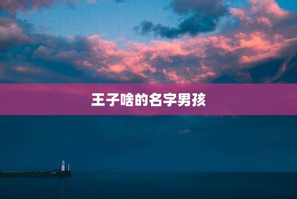 王子啥的名字男孩