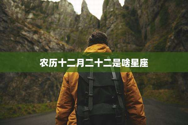 农历十二月二十二是啥星座