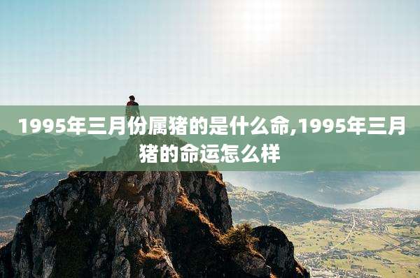 1995年三月份属猪的是什么命,1995年三月猪的命运怎么样