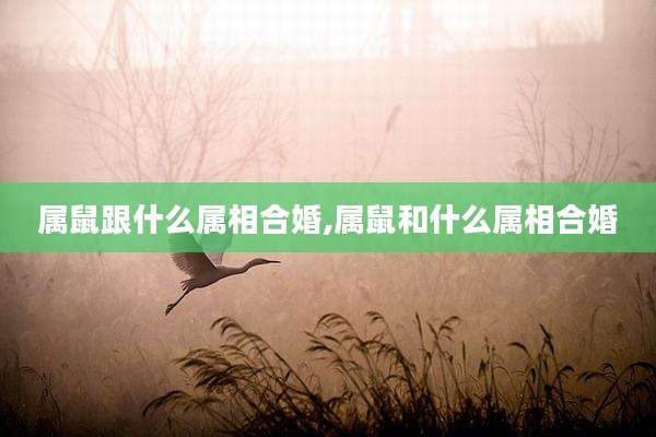属鼠跟什么属相合婚,属鼠和什么属相合婚