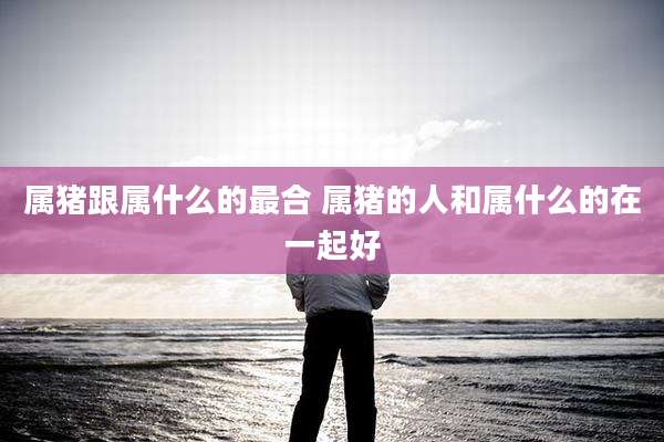 属猪跟属什么的最合 属猪的人和属什么的在一起好