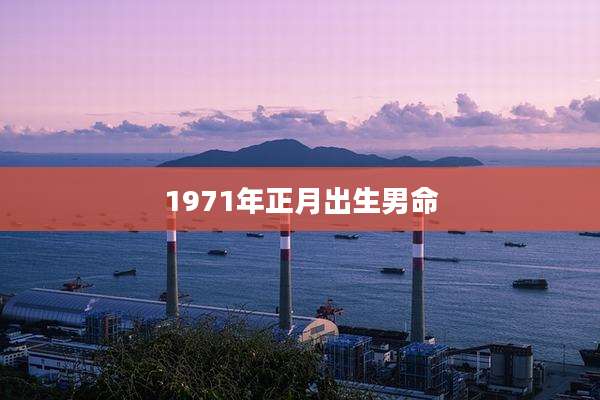 1971年正月出生男命