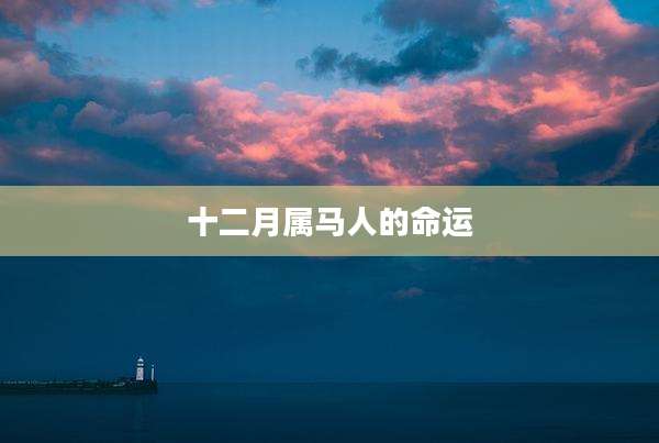 十二月属马人的命运