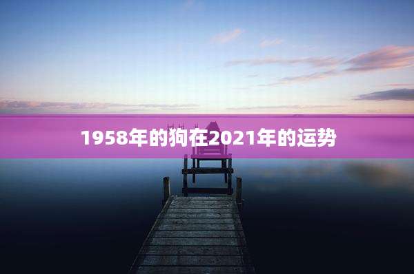1958年的狗在2021年的运势