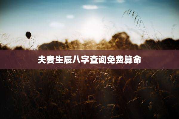 夫妻生辰八字查询免费算命