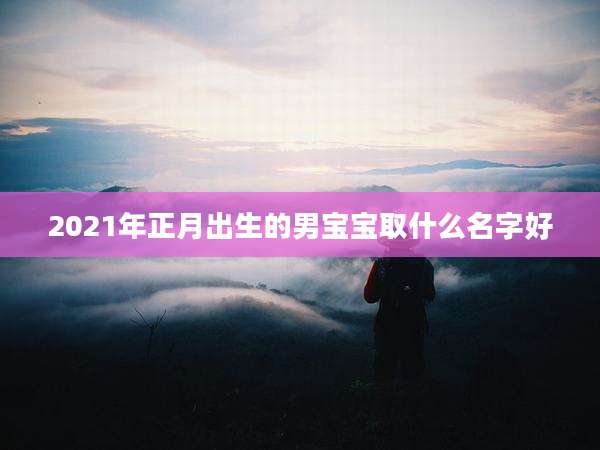2021年正月出生的男宝宝取什么名字好