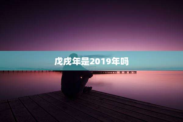 戊戌年是2019年吗