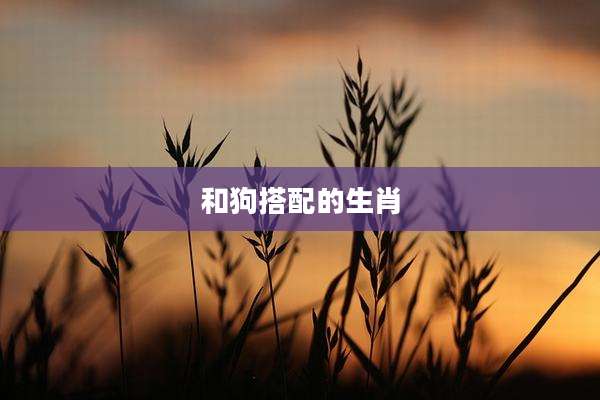 和狗搭配的生肖