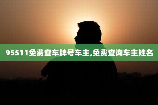 95511免费查车牌号车主,免费查询车主姓名