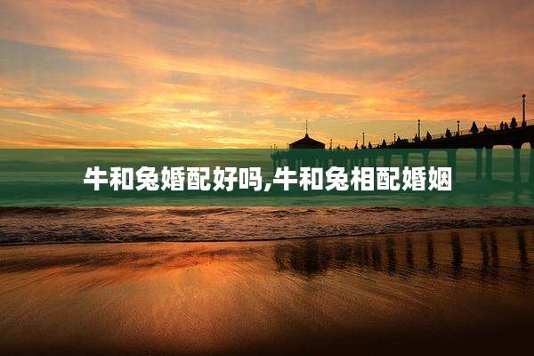 牛和兔婚配好吗,牛和兔相配婚姻