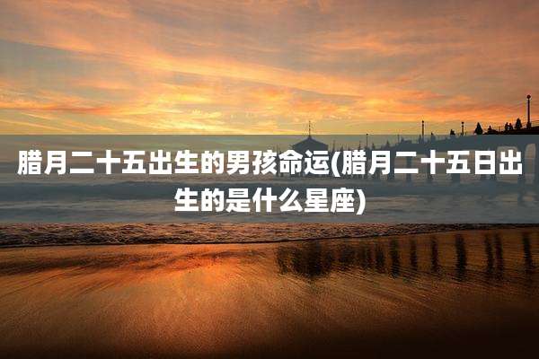 腊月二十五出生的男孩命运(腊月二十五日出生的是什么星座)