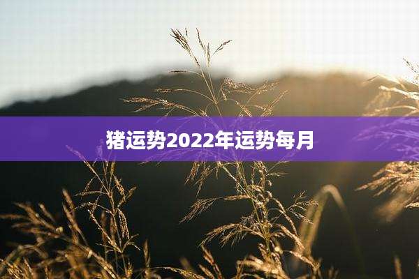 猪运势2022年运势每月