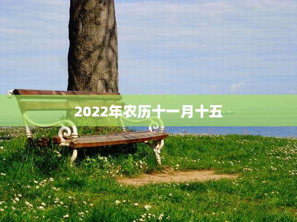 2022年农历十一月十五