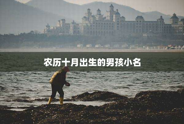 农历十月出生的男孩小名