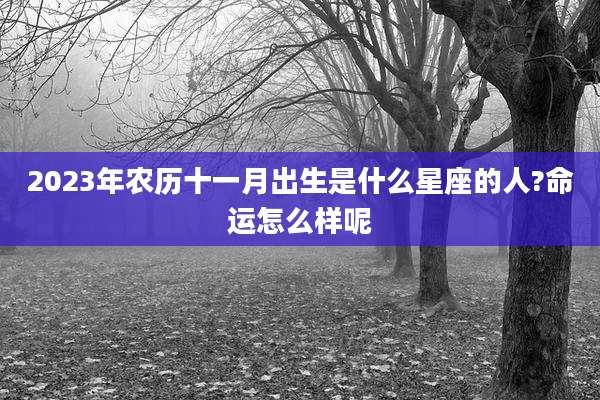 2023年农历十一月出生是什么星座的人?命运怎么样呢