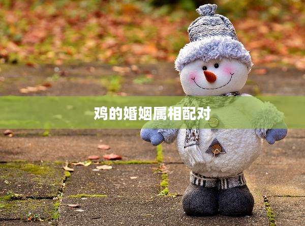 鸡的婚姻属相配对