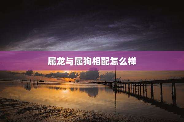 属龙与属狗相配怎么样