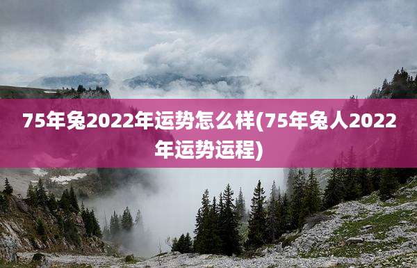 75年兔2022年运势怎么样(75年兔人2022年运势运程)