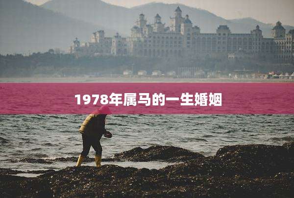 1978年属马的一生婚姻