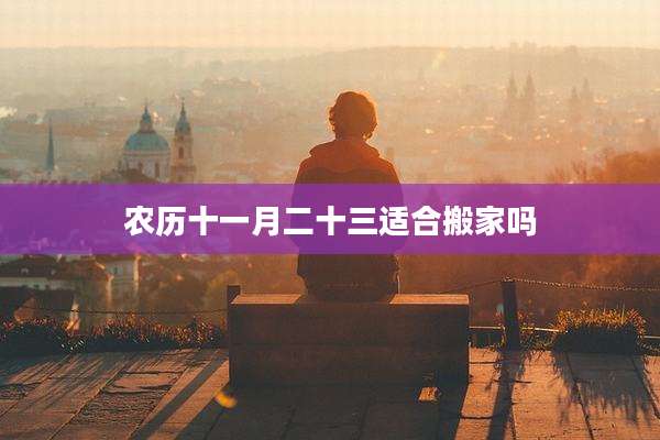 农历十一月二十三适合搬家吗