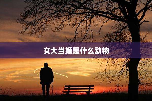 女大当婚是什么动物