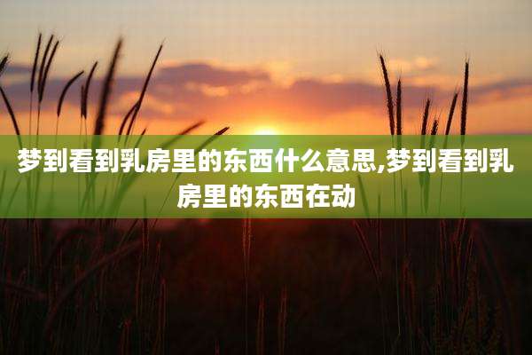 梦到看到乳房里的东西什么意思,梦到看到乳房里的东西在动